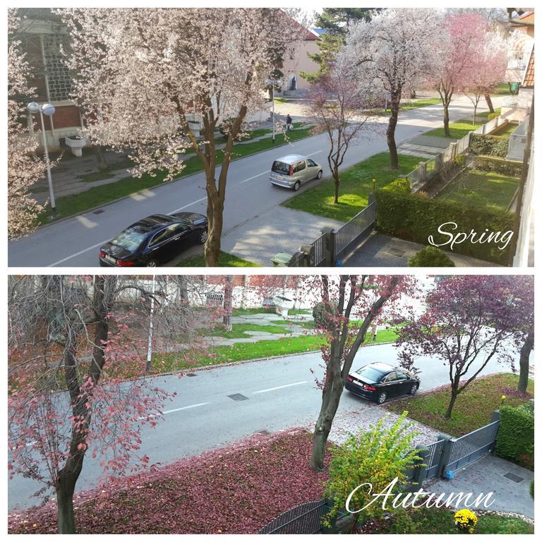 Cubo Maksimir 1 Apartament